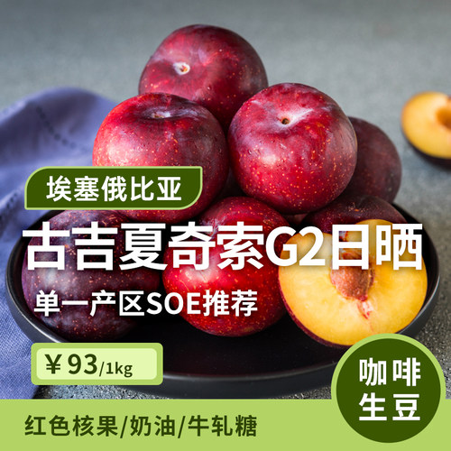 【25产季】古吉夏奇索 G2日晒 印格埃塞俄比亚咖啡生豆1KG