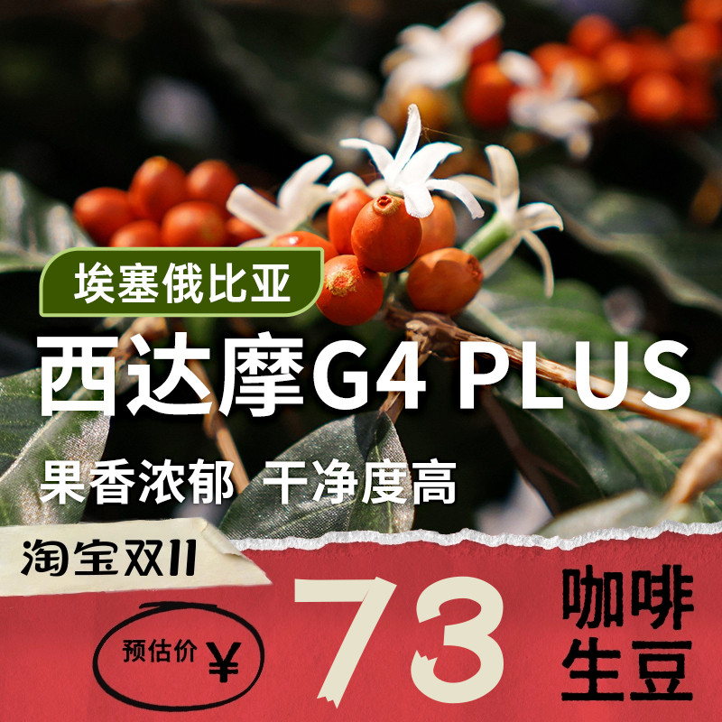 埃塞俄比亚西达摩日晒G4咖啡生豆
