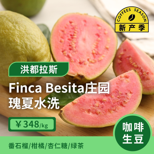 【26产季】Finca Besita庄园瑰夏水洗洪都拉斯咖啡豆印格咖啡生豆