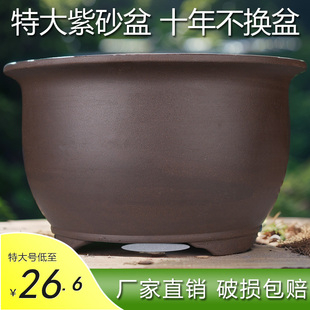陶瓷花盆特大号家用花盆室内绿植紫砂花盆陶瓷陶土种菜盆厂家直销