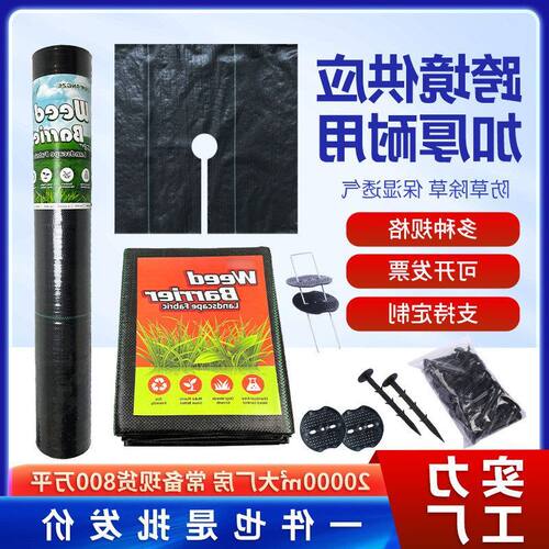 草莓跨境除草地膜地园艺农用钉
