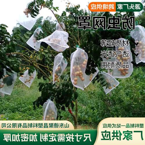防虫网花园果树覆盖网网防鸟网片