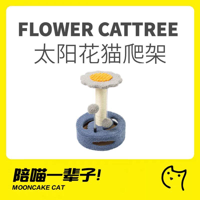 猫爬架月饼喵泰迪绒太阳花高颜值图片