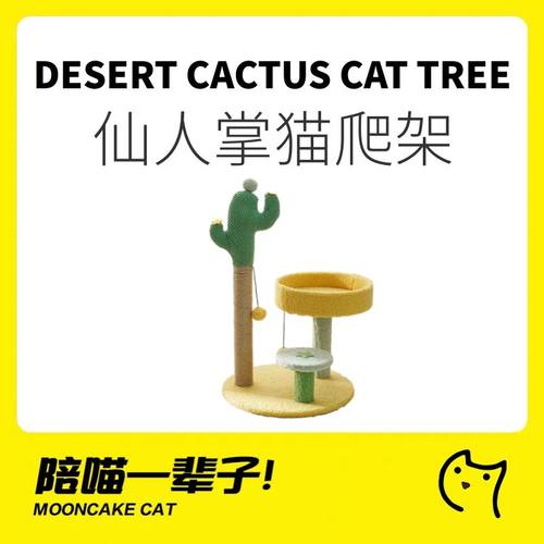 喵仙儿仙人掌猫爬架猫窝