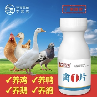鸡鸭鹅禽一片金银花甘草等多种中草混合提取鸡鸭鹅通用雏鸡蛋禽用
