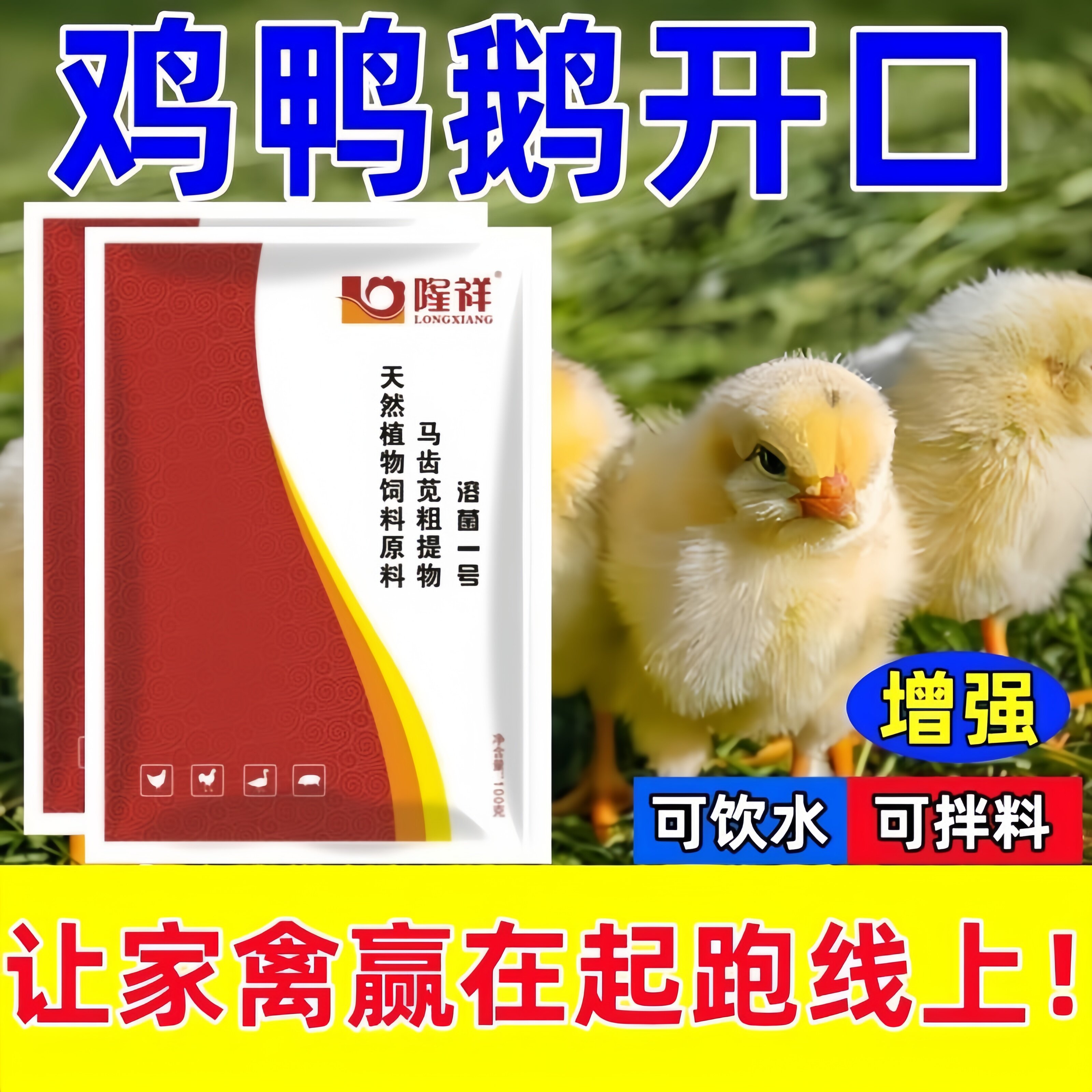 溶菌一号隆祥开口乐小鸡开口雏鸡开口育雏宝禽用饲料添加剂鸡药