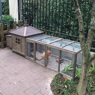 户外鸡笼家用大号养殖鸡舍鸡窝室外防雨专用兔笼兔舍室外狗窝清仓