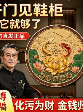 开门见鞋柜贴鲤鱼莲花贴净秽锦鲤