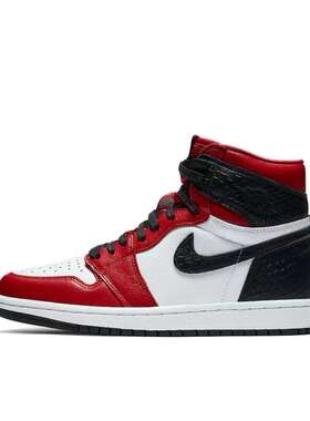 Air Jordan 1 High OG 