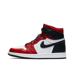 Air Jordan 1 High OG 