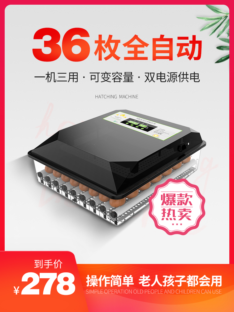 小鸡鹦鹉鹅蛋可孵化箱孵蛋孵化器小型家用型水床孵化机全自动智能|ruв категории оборудование/инструменты, приборы, электрический инструмент - от Buy2taobao.com для оказания профессиональной услуги покупки агента Taobao