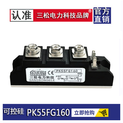 模块可控硅PK110FG16055A90A25A