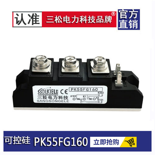 模块可控硅PK110FG16055A90A25A