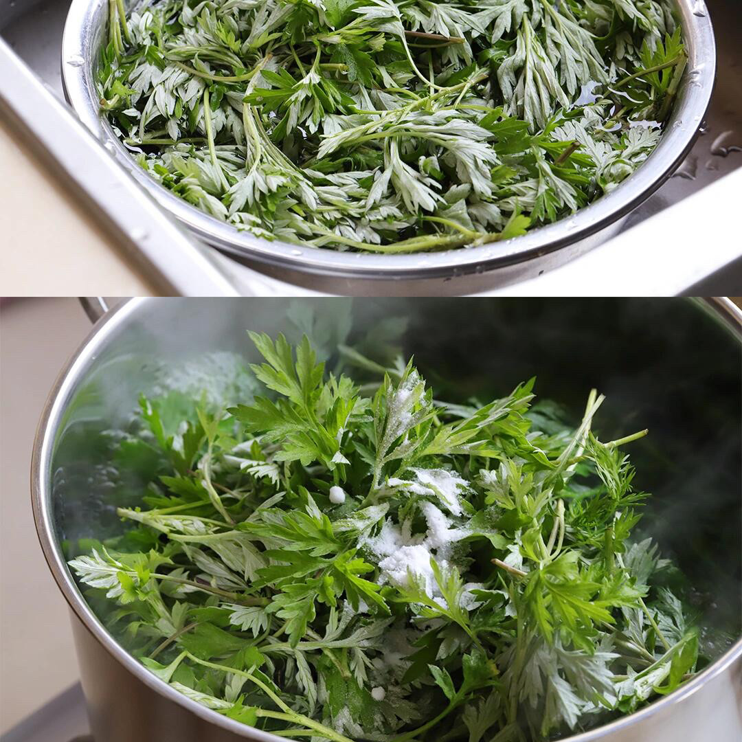 新鲜艾叶草食用艾草叶青团清明果专用嫩芽鲜高山野生艾麻糍叶现摘