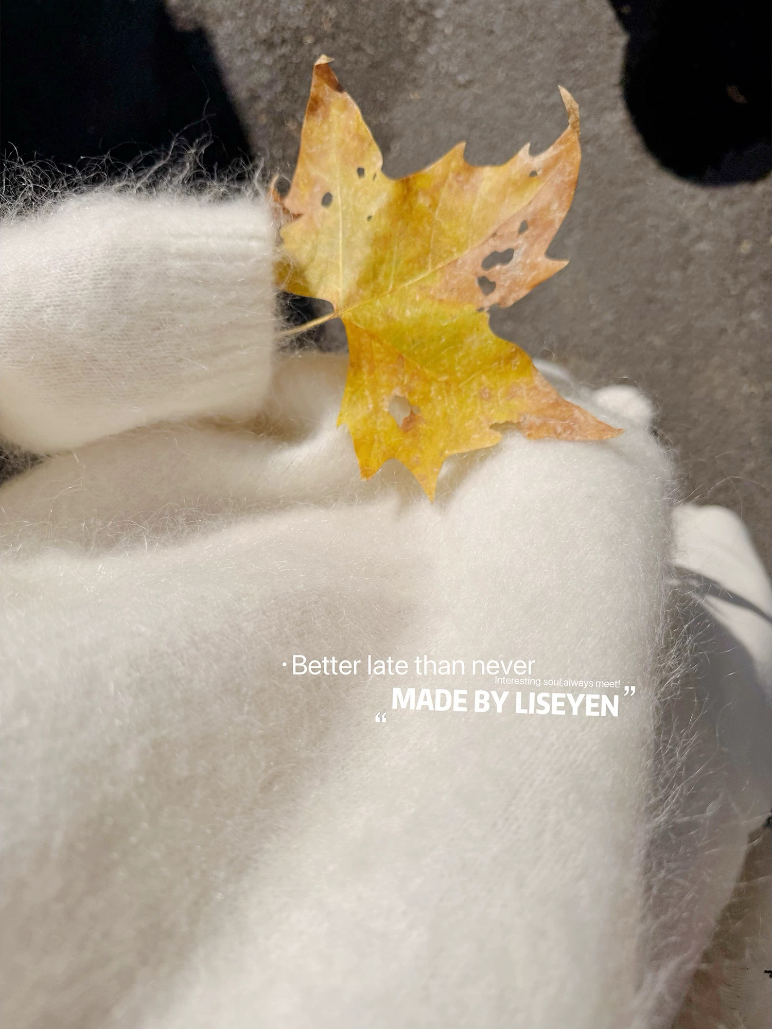 LISEYEN冬日绒绒暖糯手感 马海毛圆领打底毛衣 库存4