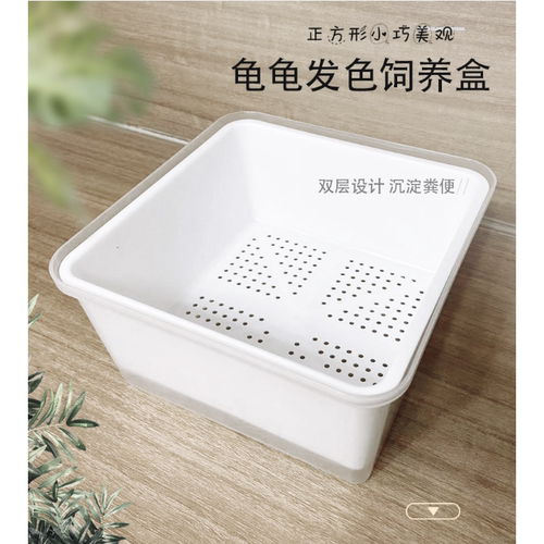龟苗饲养套盒 养龟神器 带苗神器 分离龟粪便 换水非常方便 养龟