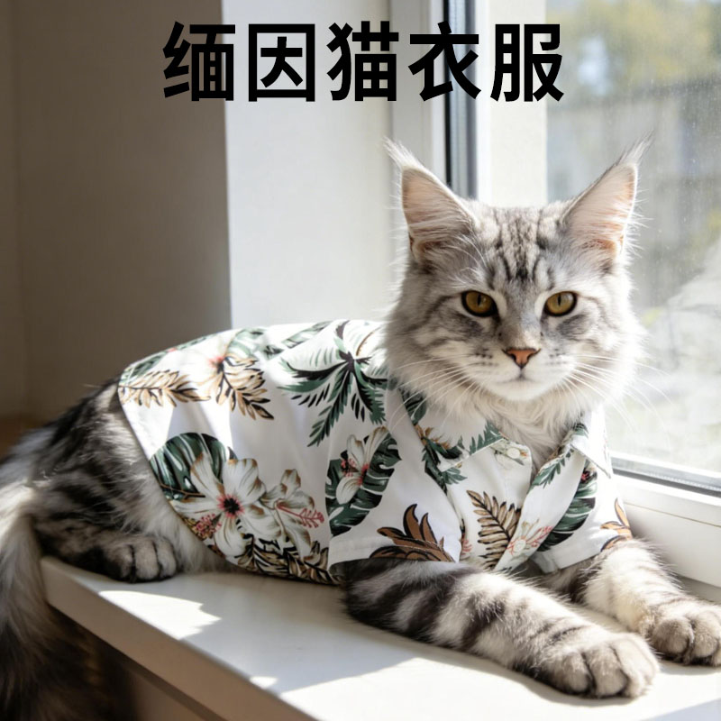 缅因猫衣服专用帅气衬衫