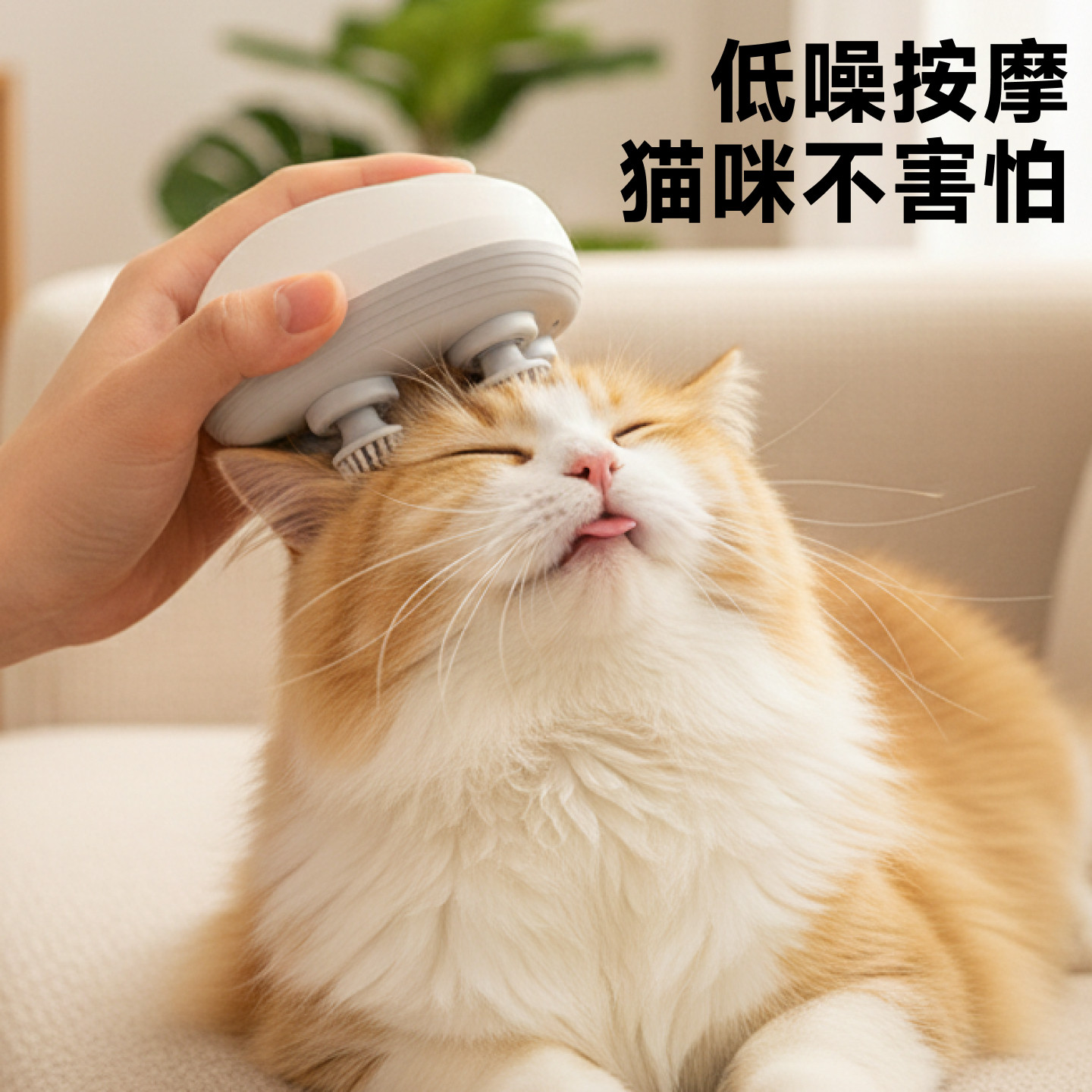 猫咪按摩器自动小猫蹭痒