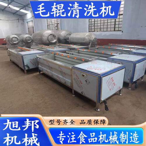 红薯硬毛清洗机 多功能马铃薯脱皮去泥设备 土豆毛辊螺旋清洗设备