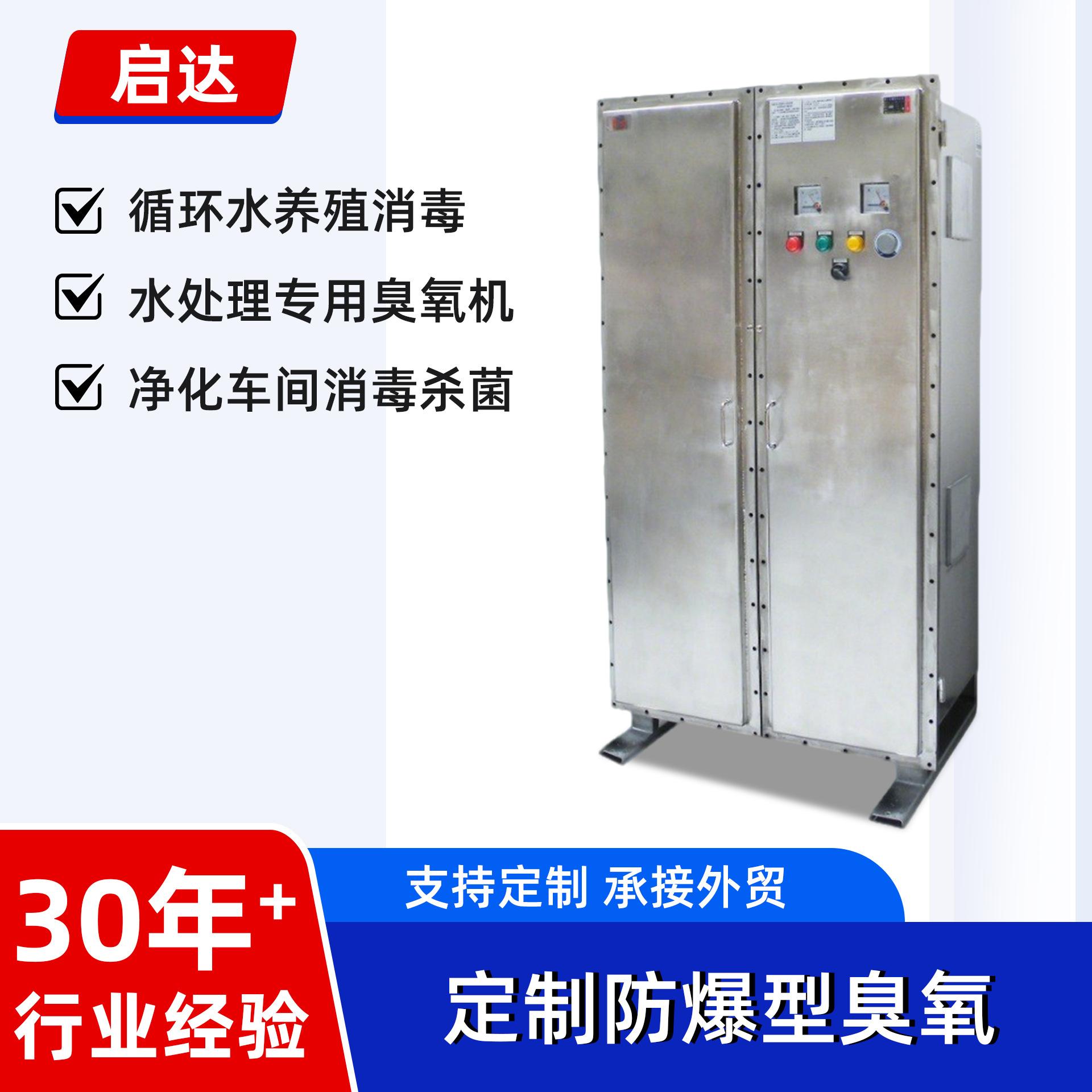 防爆型臭氧设备臭氧发生器原水处理设备水杀菌消毒设备广州厂家