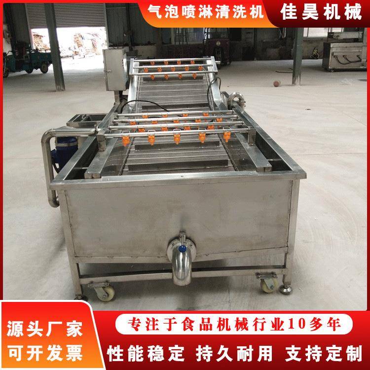 不锈钢大枣中药材气泡清洗机 柑橘洗果机 高压喷淋清洗机洗菜机