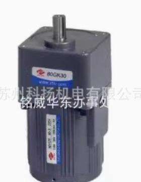 浙江中一和泰电机80YYJ25-3配减速机80GK-30 HT HETAI 25W 220V