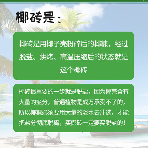 进口低盐椰砖花土营养土通用型家用椰糠养花种菜多肉土兰花专用土