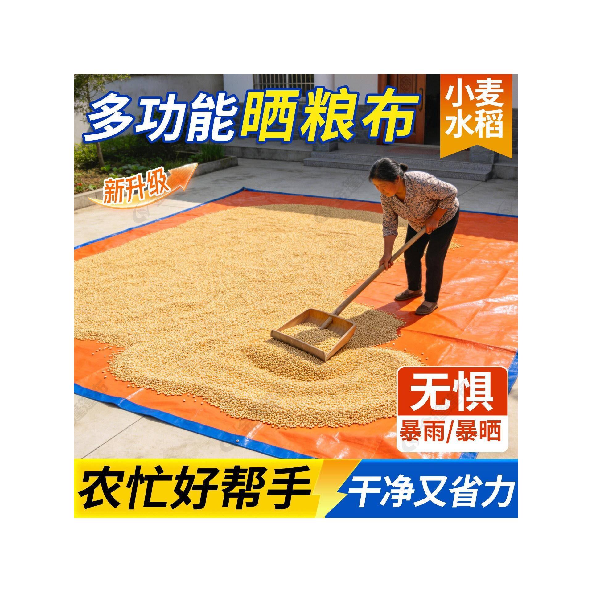晒粮食专用布打油菜籽稻谷垫子农村晒谷子神器玉米小麦加厚防雨布