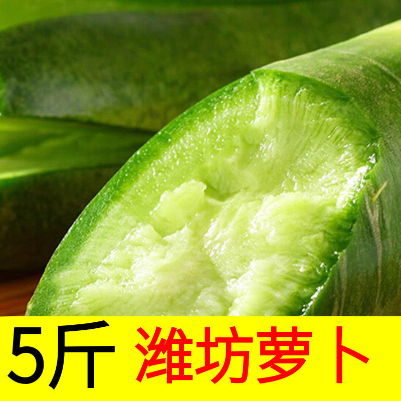 生吃水果萝卜生吃新鲜潍坊