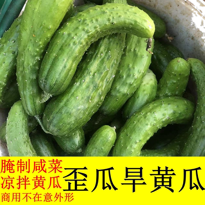 旱黄瓜盛多福腌制咸菜凉拌黄瓜