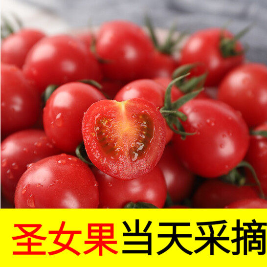 新鲜圣女果5斤 现摘现发千禧樱桃小番茄水果西红柿蔬菜包邮10,水产肉类/新鲜蔬果/熟食,番茄,淘宝优惠券,粉丝福利购,淘宝优惠卷