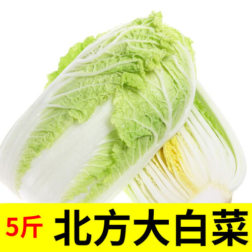 新鲜大白菜盛多福新鲜