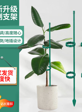 植物支撑杆兰花护叶枝龟背竹海芋专用园艺扶持架花卉防倒伏固定器