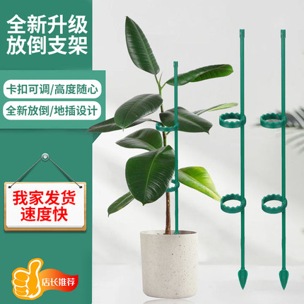 植物支撑杆兰花护叶枝龟背竹海芋专用园艺扶持架花卉防倒伏固定器