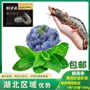 商用虾肉新鲜重庆豆捞火锅店食材 鲜美来黑虎虾皇虾滑 3A150g500g