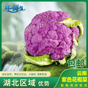 紫花菜云南漂亮菜立农维康蔬菜高原新鲜紫色花椰菜松花菜火锅酒店