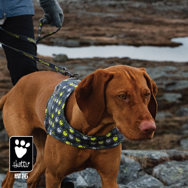 悍拓探go胸背带泰迪中型大型犬狗狗宠物外出背心式背带