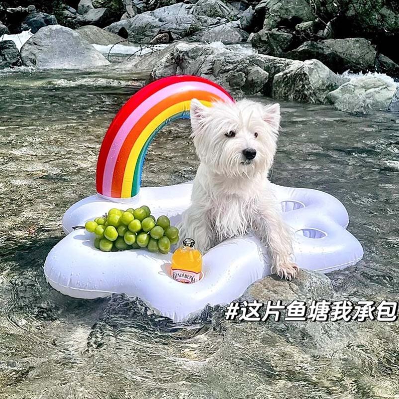 【玩水好物】狗狗游泳圈加厚浴盆PVC充气床户外野餐春游可携式浮
