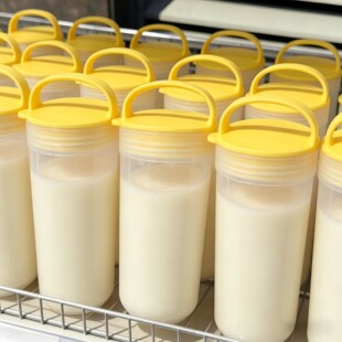 豆浆杯早餐专用耐高温便携外带上班族冷泡杯夏季大容量冷萃杯随手