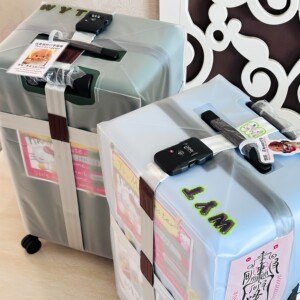 行李箱保护套托运防摔加厚防水罩防刮花耐磨旅行罩拉杆箱透明箱套