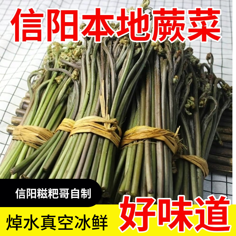 信阳本地焯水蕨菜娃娃拳菜