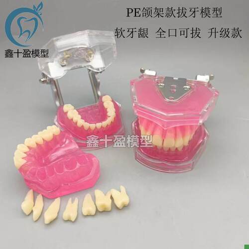 牙科口腔教学生练习拔牙模型全口可拆卸牙齿软牙龈2U8颗牙齿FE颌