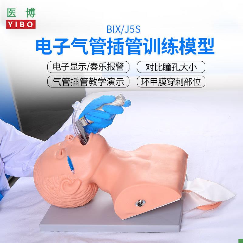 医博成人电子气管插管模型J5s高级人体气管插B管训练模型带牙齿受