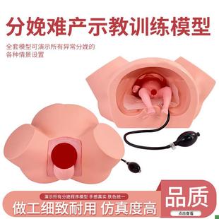 分娩示教模型高级助m产示教训练模型妇产科难产助产分娩教学模型