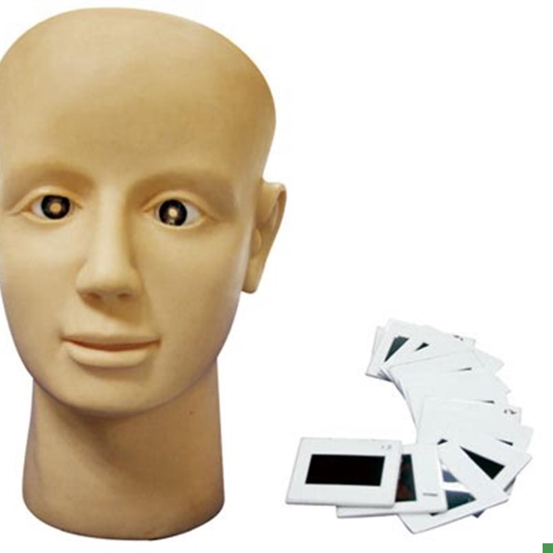 眼视网膜病变训练模型眼科医患沟C通教学展示用具眼内视网膜检查