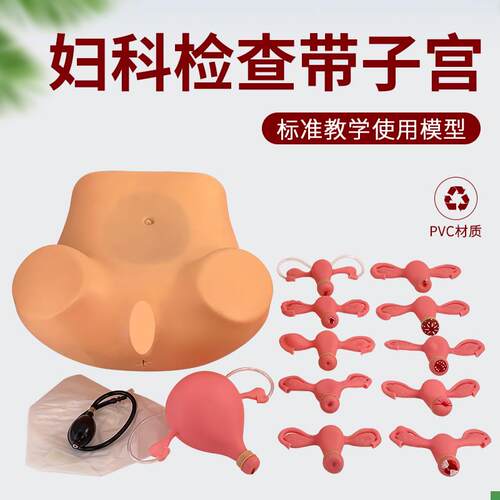 高级妇科综合检查护理模型/妇产科训练/医学/R教学妇科训练模型