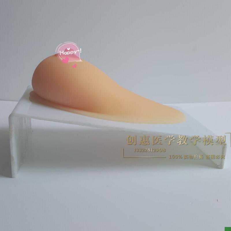 女性乳房 纯硅胶乳房模型 v单个乳房哺乳模型催乳培训模型催乳模