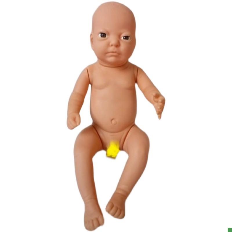 高级婴儿模型出生婴儿模R型新生儿模型