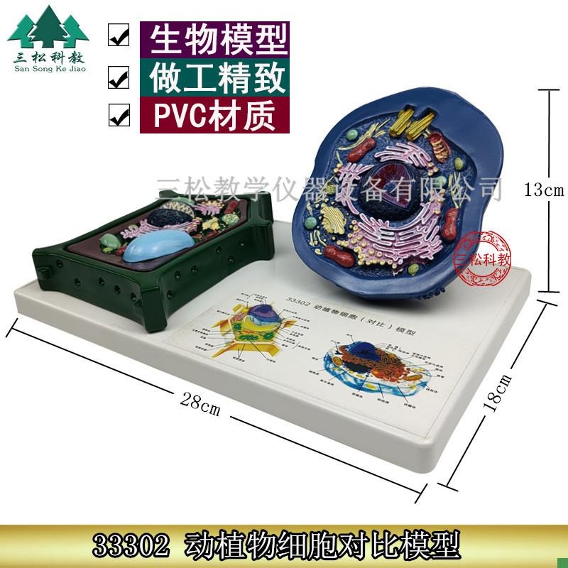 动植物细胞对比i模型动物细胞模型植物细胞模型初高中生物器材