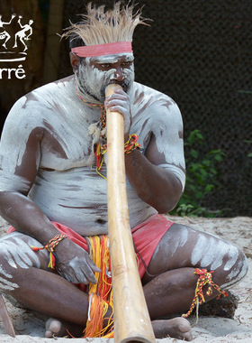 德瑞Terre柚木迪吉里杜管专业级Didgeridoo澳洲乐器CDEF四音乐器